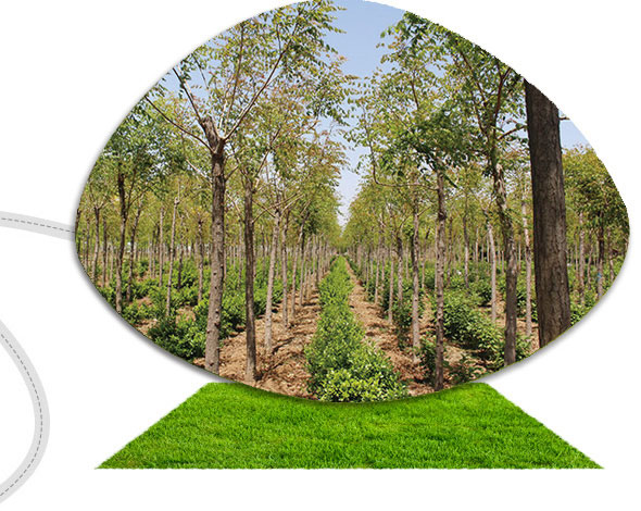 多年專注，規(guī)模大，經(jīng)驗(yàn)足